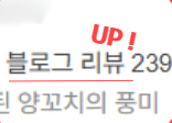 블로그 리뷰 증가